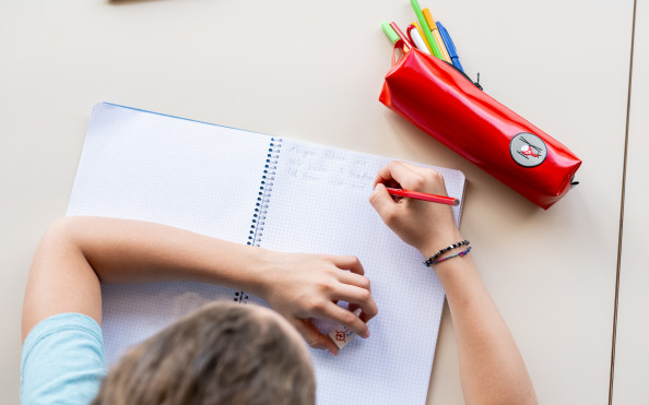 Astuccio per la scuola, presentazione ingrandita